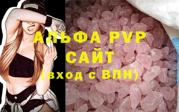 сатива Богданович