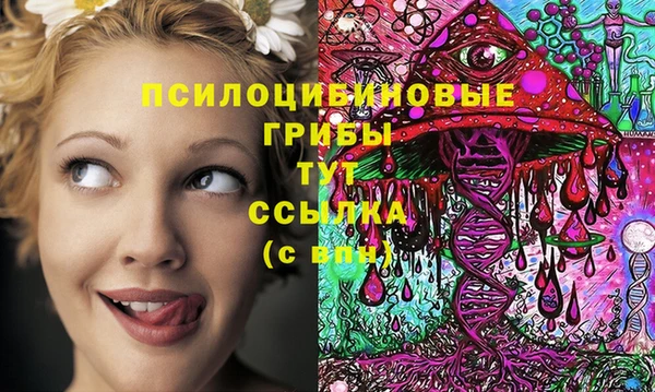 ешки Богородицк